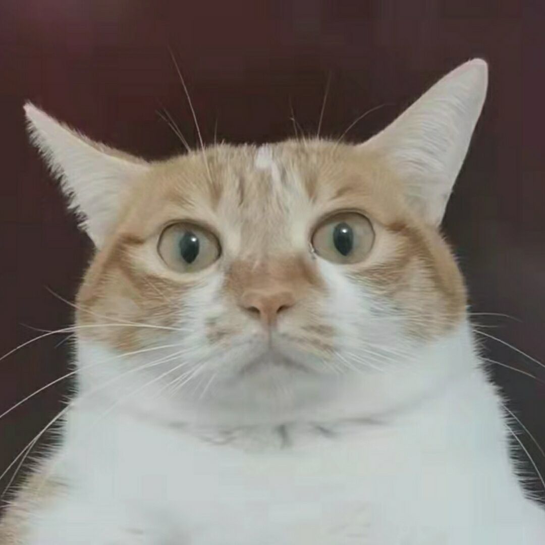 李成蹊头像